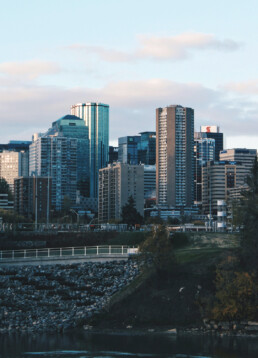 Edmonton Public Art Curatorial Collection Assessment