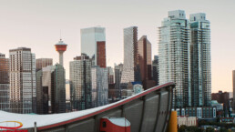 Public Art Curatorial Collection Assessment, 2021+2022