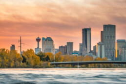 Public Art Curatorial Collection Assessment, 2021+2022