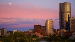 Public Art Curatorial Collection Assessment, 2021+2022