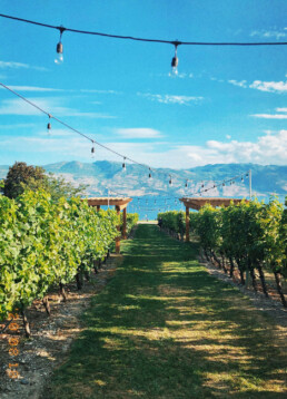 City Of Kelowna Public Art Plan